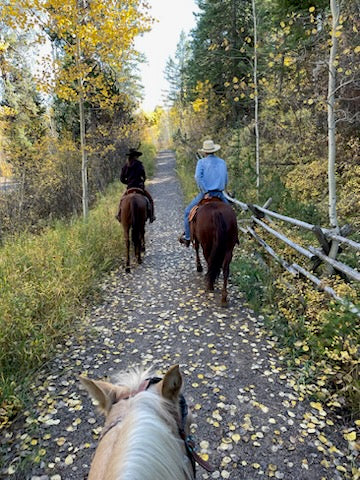 PRIVATE HORSEBACK RIDING LESSON