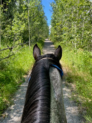 MOUNTAIN MEADOW TRAIL RIDE