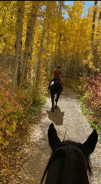 HORSEBACK TRAIL RIDE