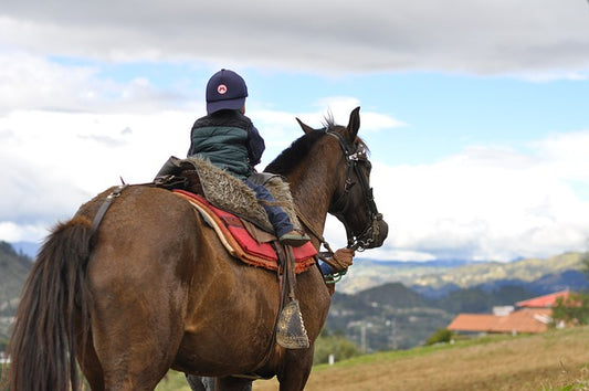 CORRAL RIDE AGES 5 & UNDER