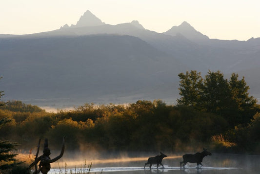 TETON RIVER | SCENIC FLOAT TRIP