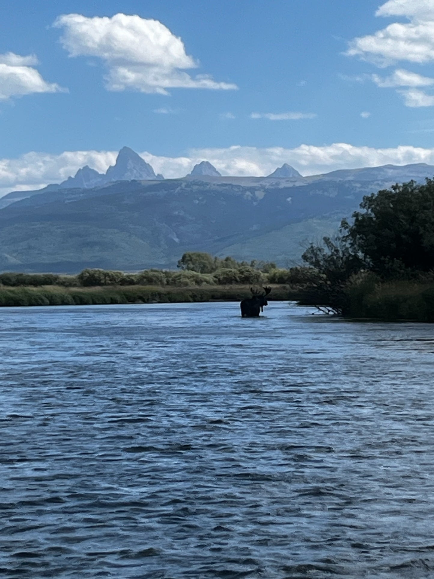 TETON RIVER | SCENIC FLOAT TRIP