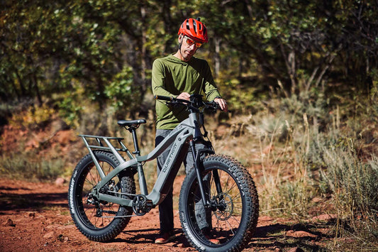 E-BIKE RENTALS
