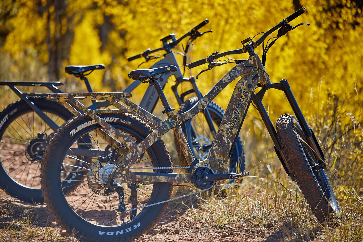E-BIKE RENTALS