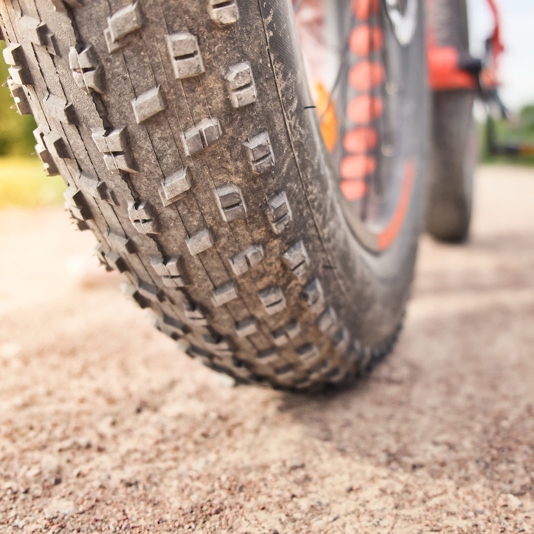 MOUNTAIN BIKE RENTALS