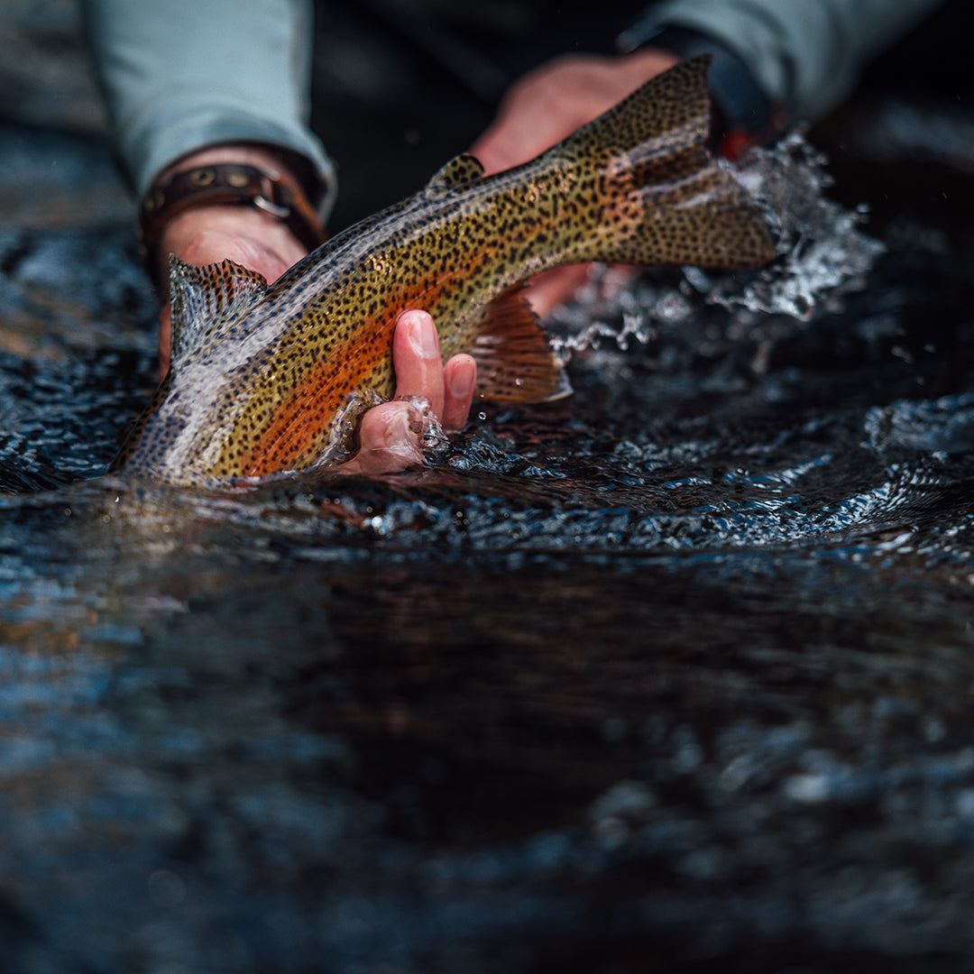 WINTER PRIVATE SPRING FED WATERS | 2 HR GUIDED